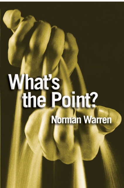 What's the Point? : Finding answers to life's questions, EPUB eBook