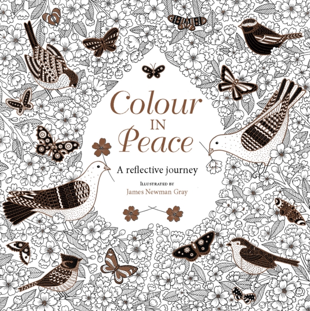 Colour in Peace : A reflective journey, Paperback / softback Book