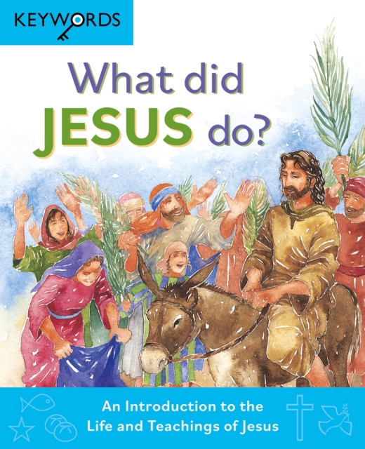 What Did Jesus Do? : An Introduction to the Life and Teachings of Jesus, Hardback Book