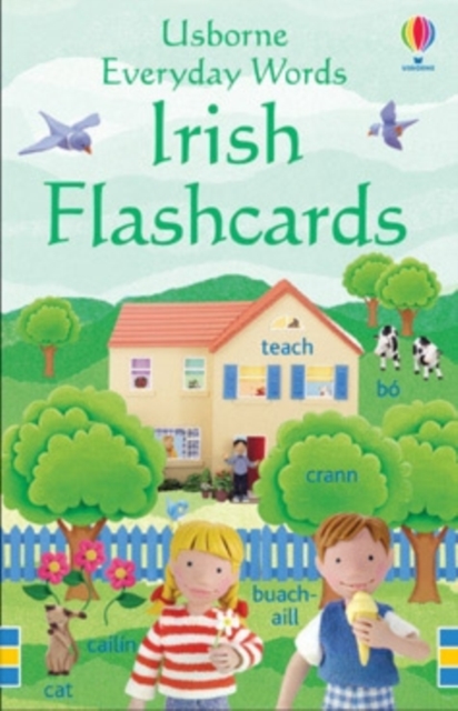 Everyday Words in Irish Flashcards, Cards Book