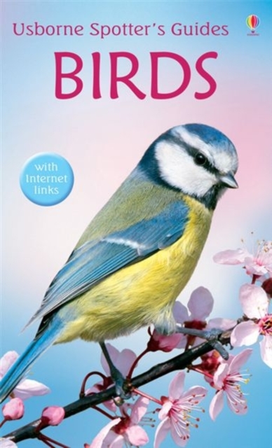 Birds, Paperback / softback Book