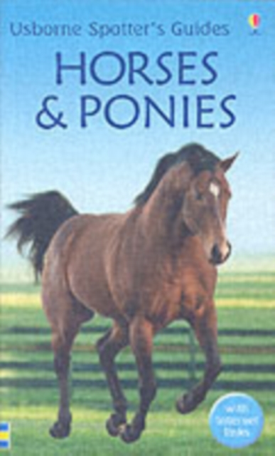 Horses and Ponies, Paperback Book