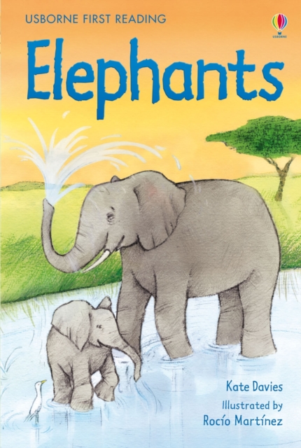 Elephants, Hardback Book