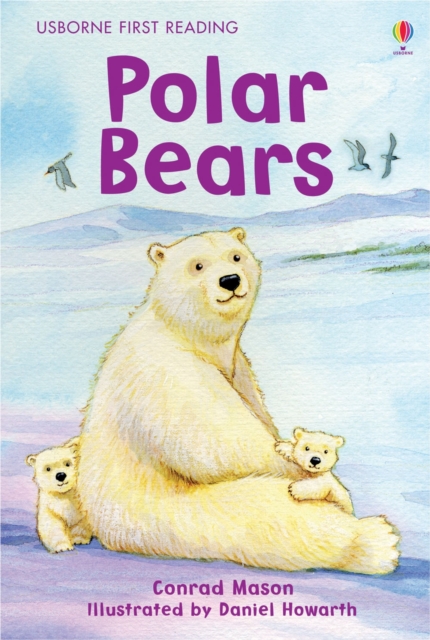 Polar Bears, Hardback Book