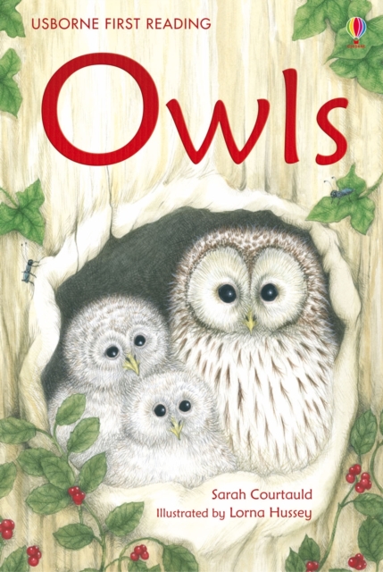 Owls, Hardback Book
