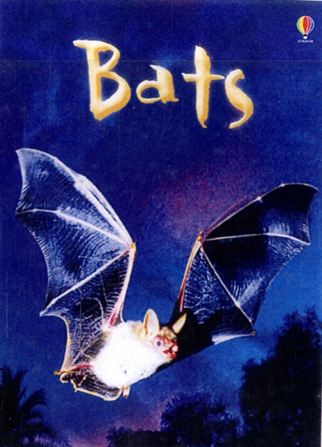 Bats, Hardback Book