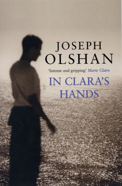 In Clara's Hands, Paperback / softback Book
