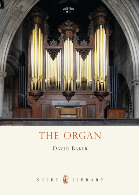 The Organ, Paperback / softback Book