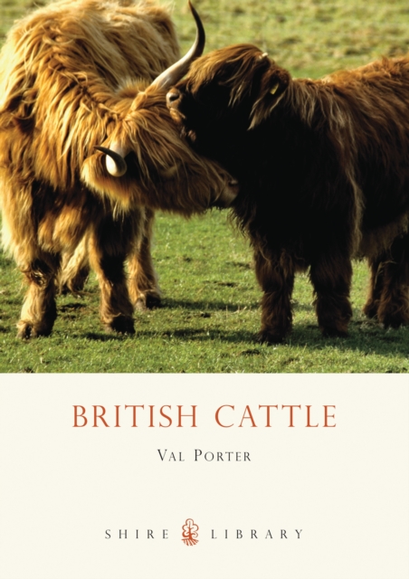 British Cattle, Paperback / softback Book