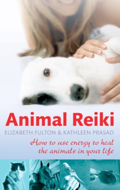 Animal Reiki : How to use energy to heal the animals in your life, EPUB eBook