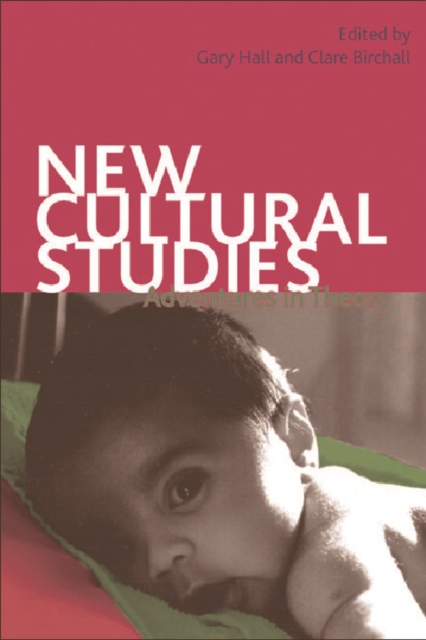 New Cultural Studies : Adventures in Theory, Hardback Book