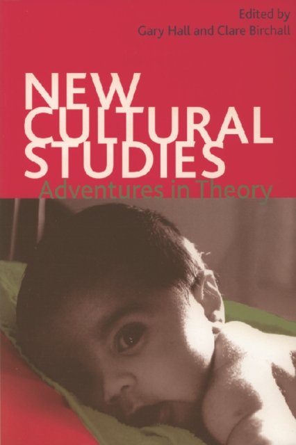 New Cultural Studies : Adventures in Theory, Paperback / softback Book