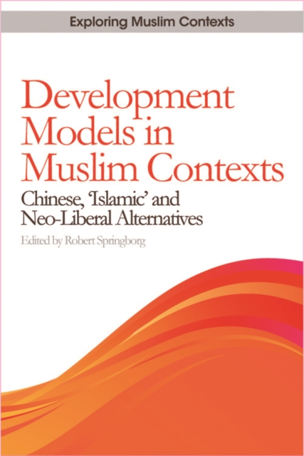Development Models in Muslim Contexts : Chinese, 'Islamic' and Neo-liberal Alternatives, Hardback Book