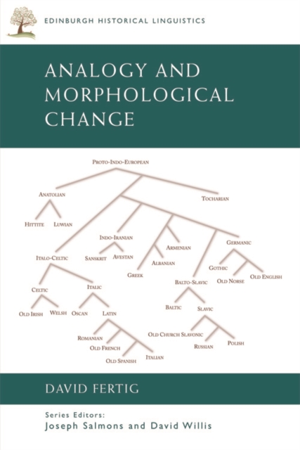 Analogy and Morphological Change, Paperback / softback Book