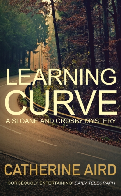 Learning Curve, Paperback / softback Book