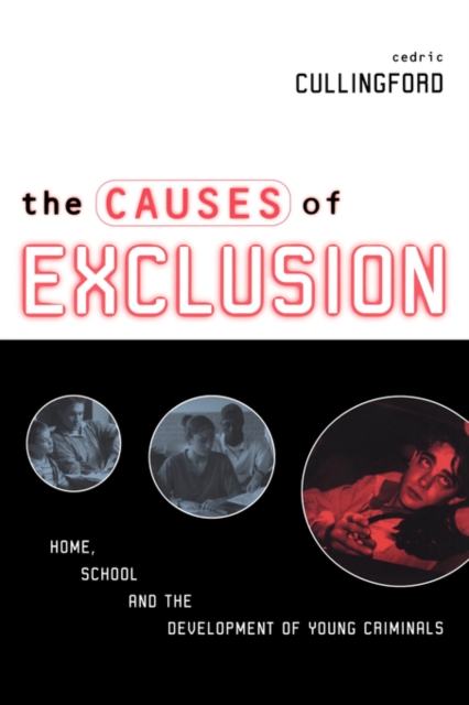 The Causes of Exclusion : Home, School and the Development of Young Criminals, Paperback / softback Book