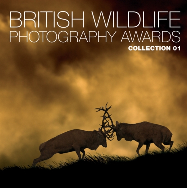 British Wildlife Photography Awards : Collection 1 Collection 01, Hardback Book