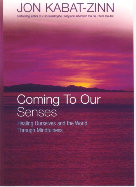 Coming To Our Senses : Healing Ourselves and the World Through Mindfulness, Paperback / softback Book