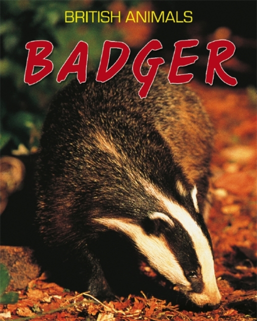 British Animals: Badger, Paperback / softback Book