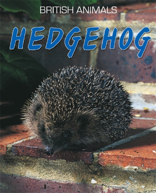 British Animals: Hedgehog, Paperback Book