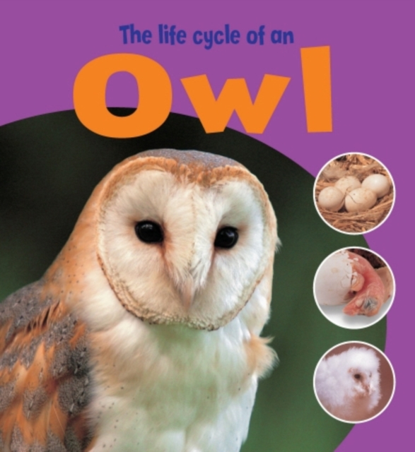 Learning About Life Cycles: The Life Cycle of an Owl, Paperback Book