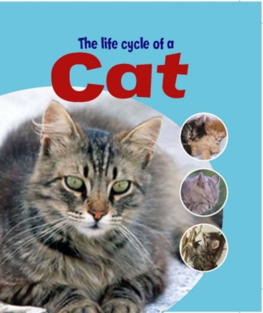 Learning About Life Cycles: The Life Cycle of A Cat, Paperback Book