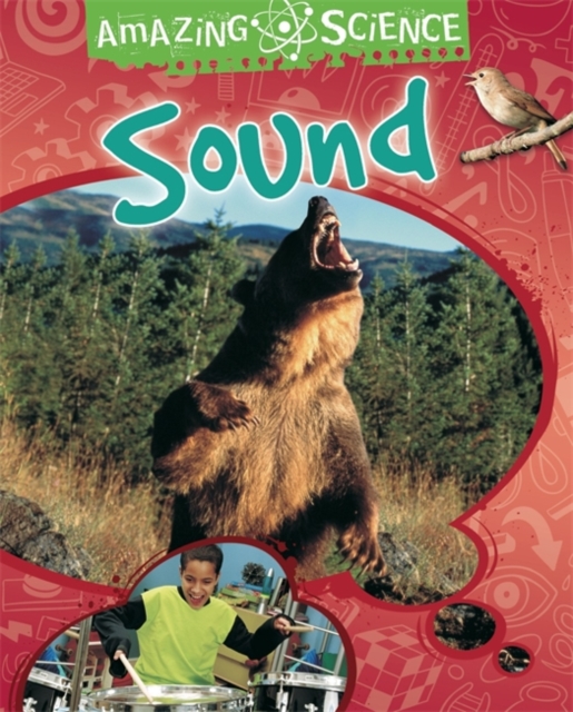 Amazing Science: Sound, Paperback / softback Book
