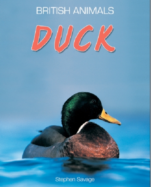 British Animals: Duck, Paperback Book