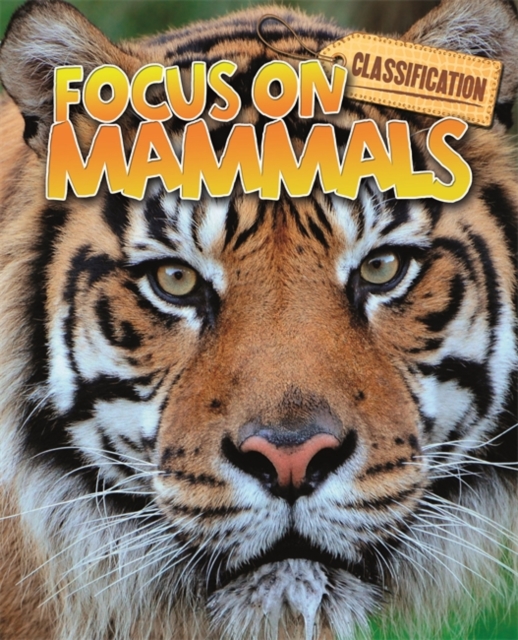 Classification: Focus on: Mammals, Paperback / softback Book