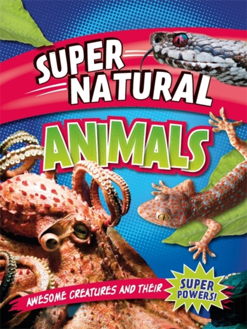 Super Natural: Animals, Paperback / softback Book