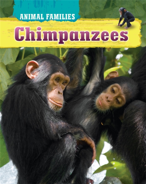 Chimpanzees, Hardback Book