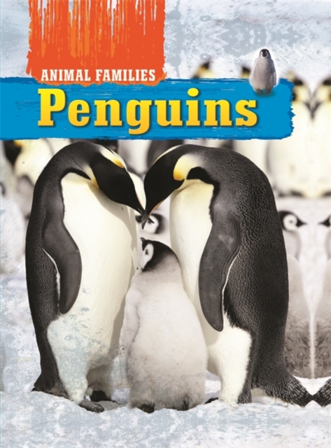 Animal Families: Penguins, Hardback Book
