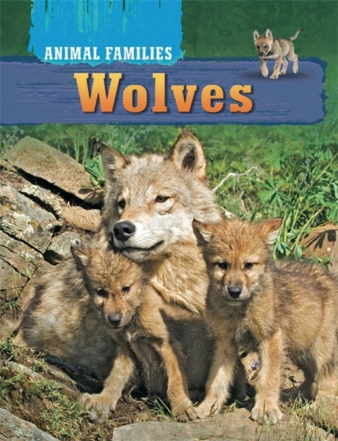 Wolves, Hardback Book