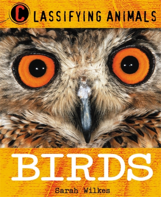 Classifying Animals: Birds, Paperback / softback Book