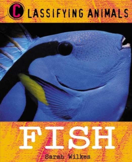 Classifying Animals: Fish, Paperback / softback Book