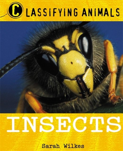 Classifying Animals: Insects, Paperback / softback Book