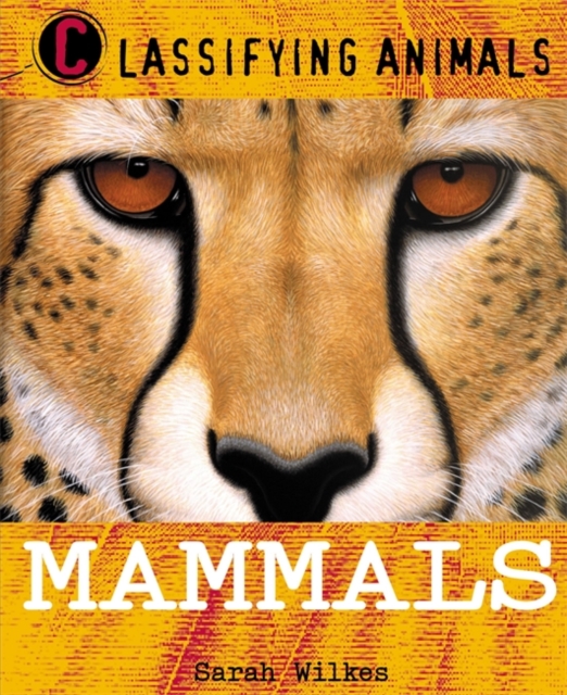 Classifying Animals: Mammals, Paperback / softback Book