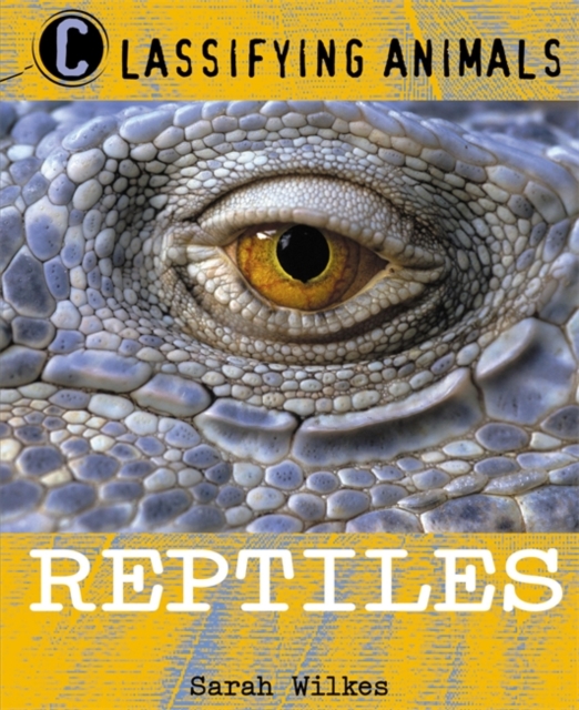 Classifying Animals: Reptiles, Paperback / softback Book