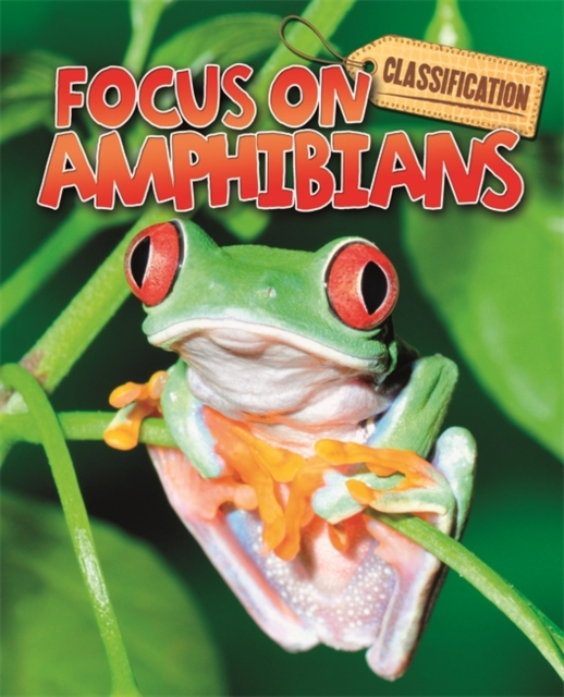 Classification: Focus on: Amphibians, Paperback / softback Book