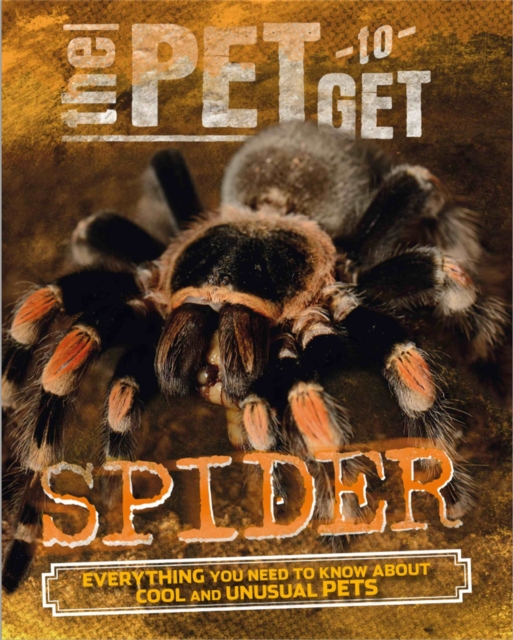 The Pet to Get: Spider, Paperback / softback Book