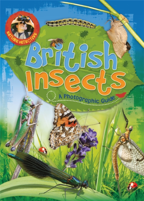Nature Detective: British Insects, Paperback / softback Book