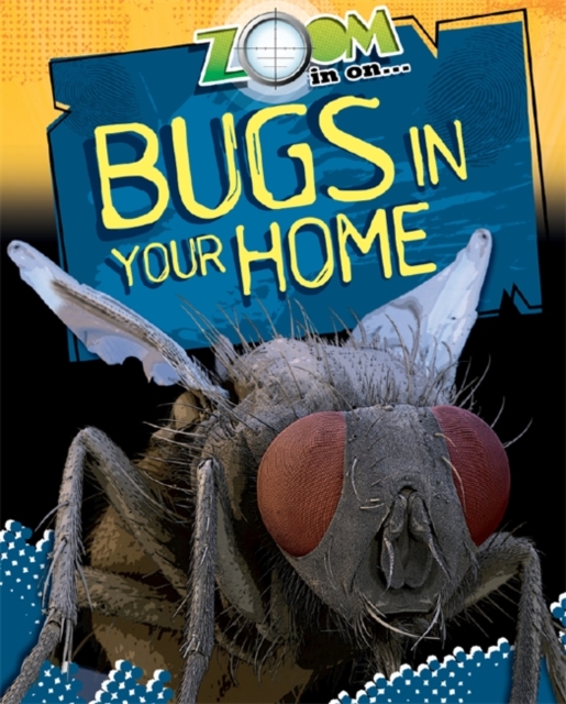 Zoom in On: Bugs in your Home, Paperback / softback Book