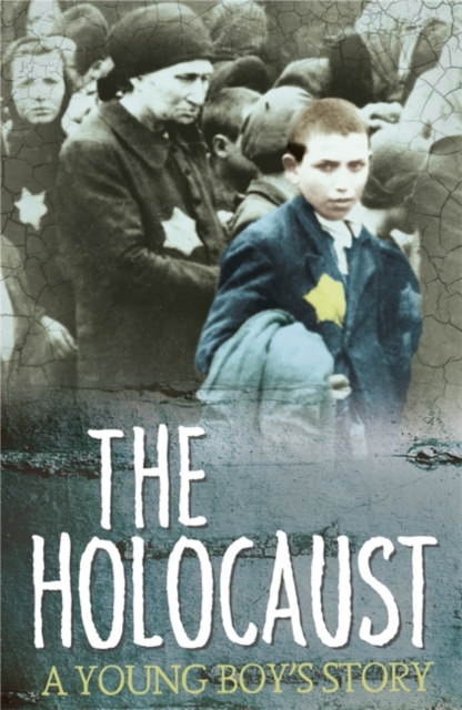 Survivors: The Holocaust: A Young Boy's Story, Paperback / softback Book