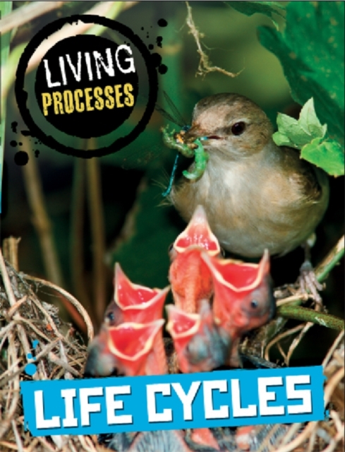 Living Processes: Life Cycles, Paperback / softback Book