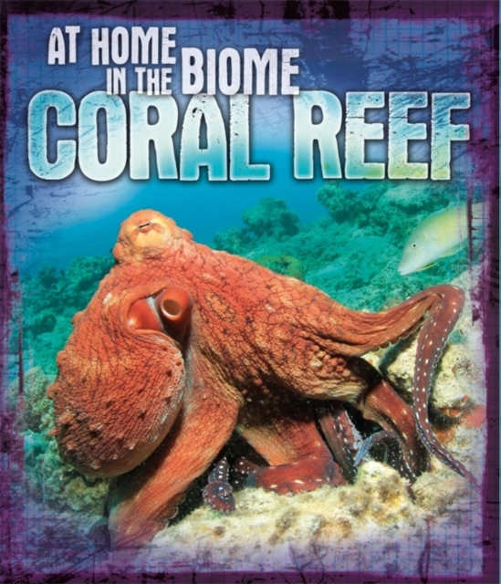 Coral Reef, Hardback Book