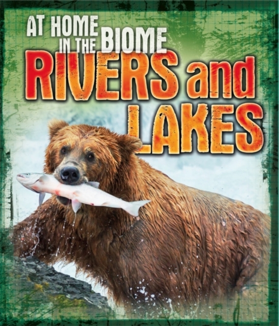 At Home in the Biome: Rivers and Lakes, Paperback / softback Book