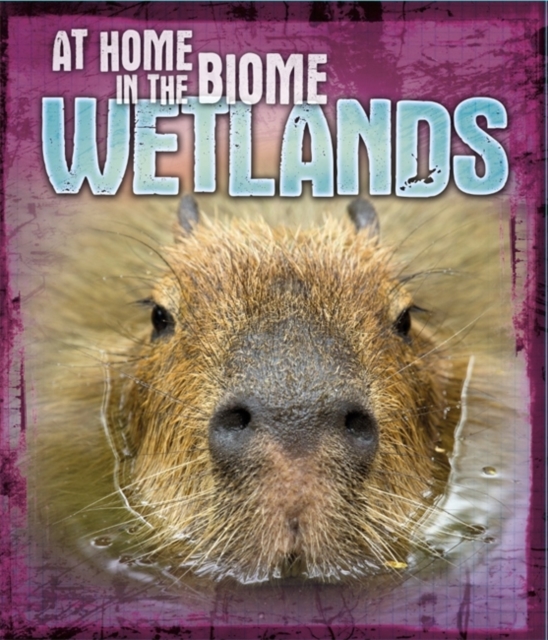 At Home in the Biome: Wetlands, Paperback / softback Book