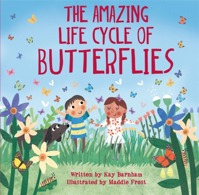 Look and Wonder: The Amazing Life Cycle of Butterflies, Paperback / softback Book