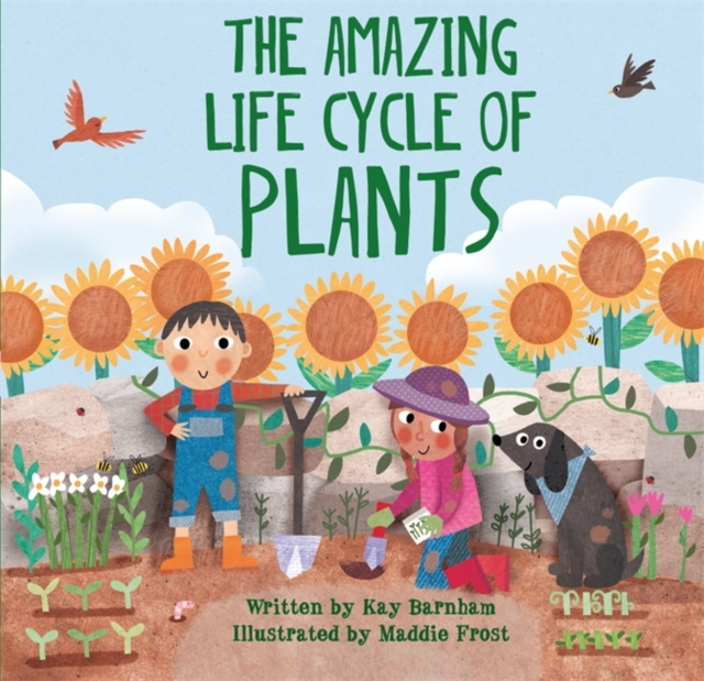 Look and Wonder: The Amazing Plant Life Cycle Story, Hardback Book