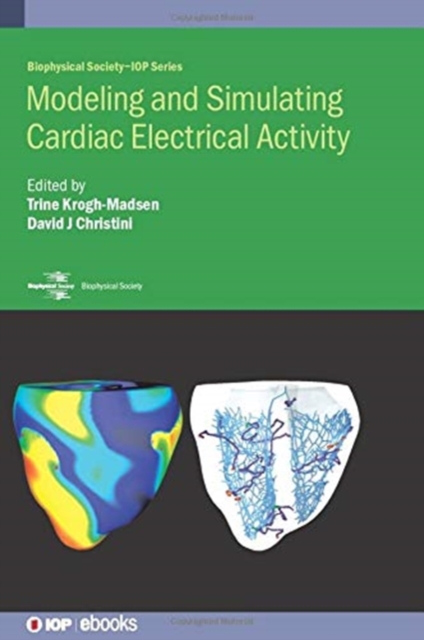 Modeling and Simulating Cardiac Electrical Activity, Hardback Book